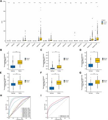Comprehensive Analysis of Expression and Prognostic Value of <mark class="highlighted">MS4A</mark>s in Glioma